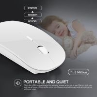 2022 Portable Ultra Thin Optical Mouse 3 Adjustable DPI 2.4G Wireless Mice Receiver For PC Laptop Notebook Wireless Mouse Basic Mice