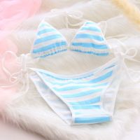 Women Underwear Set Sexy Lingerie Japanese Lolita Kawaii Blue Pink White Striped Mini Panties Adult Cosplay Erotic Costumes