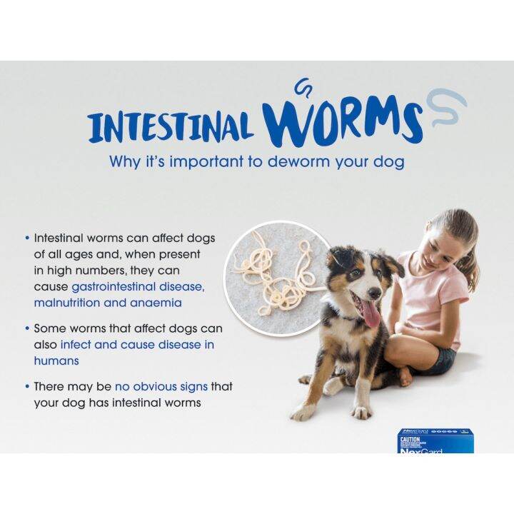 ♥Ace Pet NexGa Spec Monthly Chewable Tablet for treatment of fleas