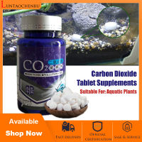 Aquarium CO2 Tablet Provide carbon dioxide for aquatic plants Carbon Dioxide Slice Diffuser