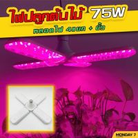 ไฟปลูกต้นไม้ 75W​ (แถมขั้วสาย 4ม.)​ LED Grow Light ไฟใบพัด ไฟต้นไม้