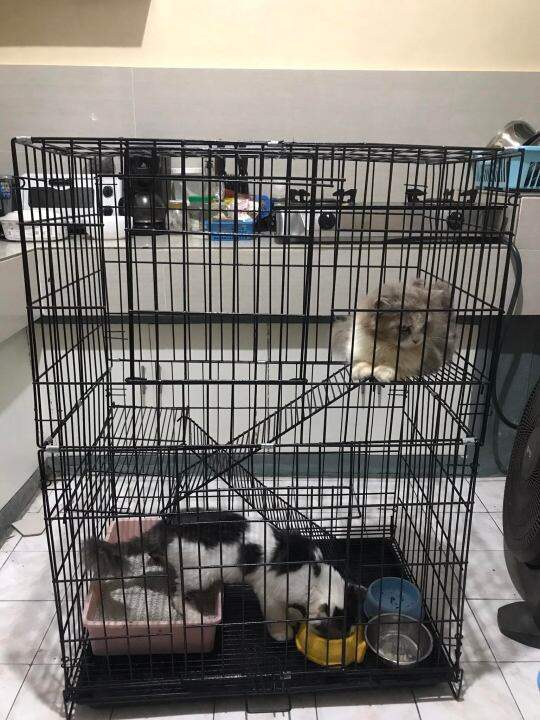 Cat Cage Large 3 Layers Collapsible Lazada PH