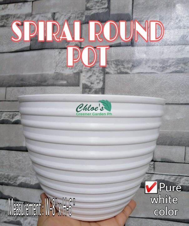 WHITE SPIRAL MEDIUM PLASTIC POTS FOR PLANTS PLANTERS Lazada PH