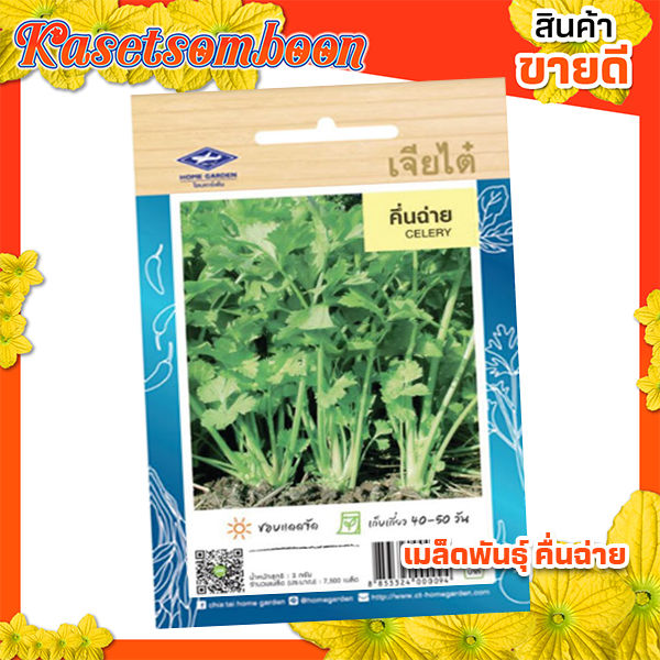 เมล็ดพันธุ์ผัก-คื่นฉ่าย-เจียไต๋-celery-seed-บรรจุ-7-500-เมล็ด-ซอง-ขนาด-15-บาท-ตรา-เครื่องบิน