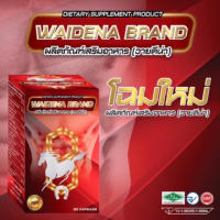 ของแท้ ขายแต่ของแท้ WAIDENA By RaceHorse เสริมอาหารท่านชาย 1 กระปุก(60 แคปซูล)