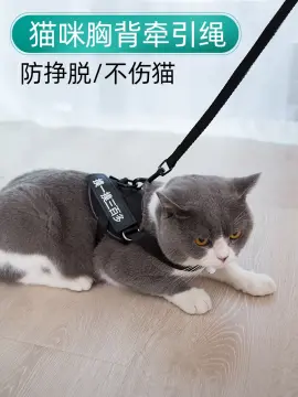 Extra long hotsell cat leash