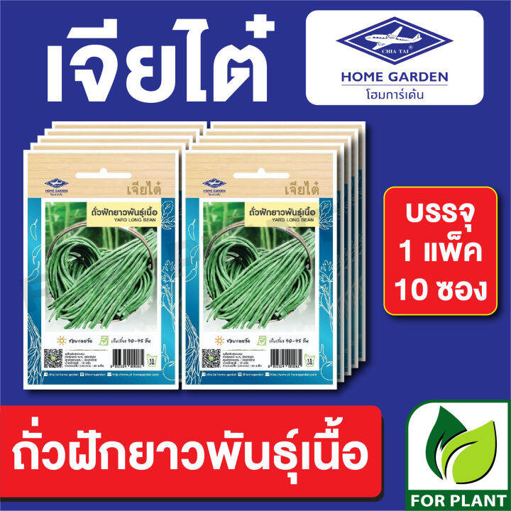 ขายส่ง-ผักซอง-เจียไต๋-ct15-เมล็ดพันธุ์-พันธุ์ผัก-บรรจุแพ็คล่ะ-10-ซอง-ราคา-70-บาท-คละชนิดได้-เพียงกดเพิ่มใส่รถเข็น-แล้วค่อยกดสั่งซื้อ