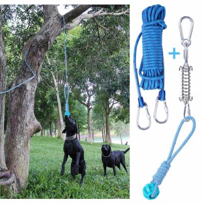 ALICross-Border Hot Selling New Product Pet Hanging Rope Bite Bends and Hitches Dog Toy Set Large Dog Spring Rope Funny