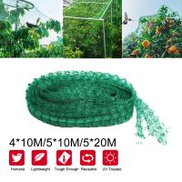 【CW】 Anti-bird Net Garden Fruits Vegetables Flowers Protection Stretch Anti Birds Poultry Durable Mesh