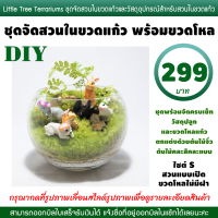 ชุดจัดสวนขวด DIY สวนขวด ต้นไม้จิ๋ว ไซต์ S ขนาดเล็ก 299 บาท