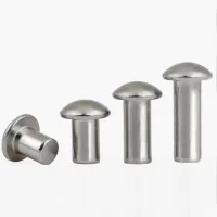 304 Stainless Steel Half Round Head Solid Rivet Round Head Tapping Rivet M2 M2.5 M3