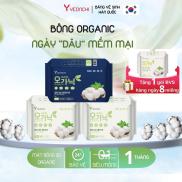 Băng vệ sinh Yeonchi Organic dùng ban ngày ban đêm hàng ngày sợi bông
