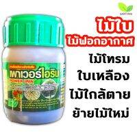 ถูก !! พาวเวอร์ไอริน สารเพิ่มพลังงานสำหรับพืช 100cc