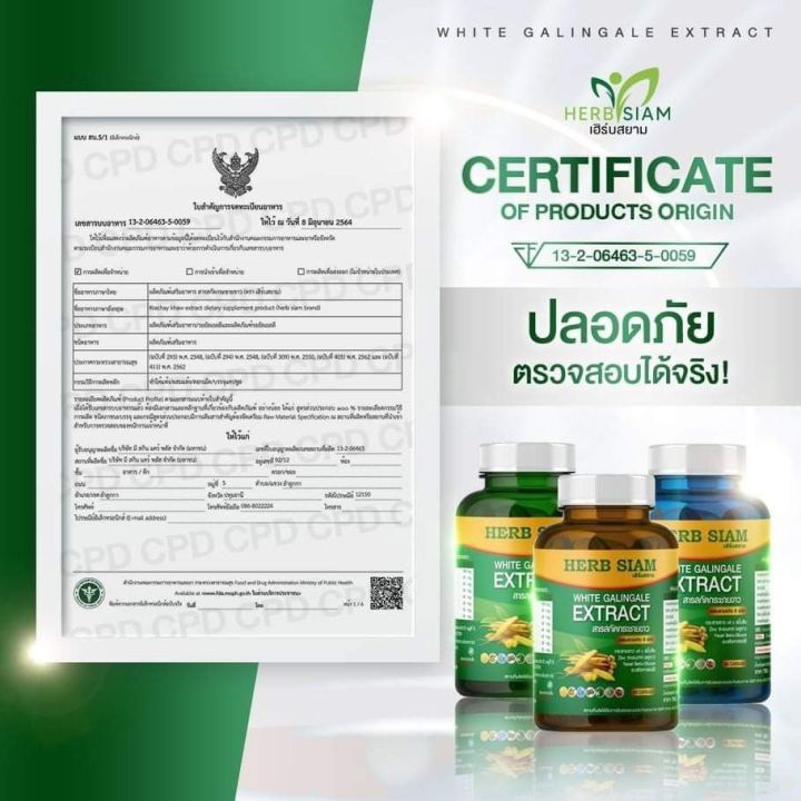 herb-siam-กระชายขาวสกัด-ของแท้-100-เสริมภูมิคุ้มกัน-ลดการอักแสบ-ลดการติดเชื้อ-เพิ่มความแข็งแรงให้ปอด-60-แคปซูล