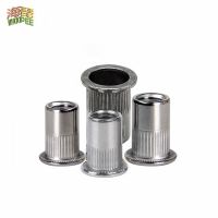 10Pcs M3 M4 M5 M6 M8 M10 M12 304 Stainless Steel Rivnut Flat Head Threaded Rivet Insert Nutsert Cap Rivet Nut