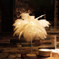 LED Feather Lamp Night Light Bedroom ins Girl heart Bedside Table Lamp modern Wedding Decoration DIY Creative Warm Light