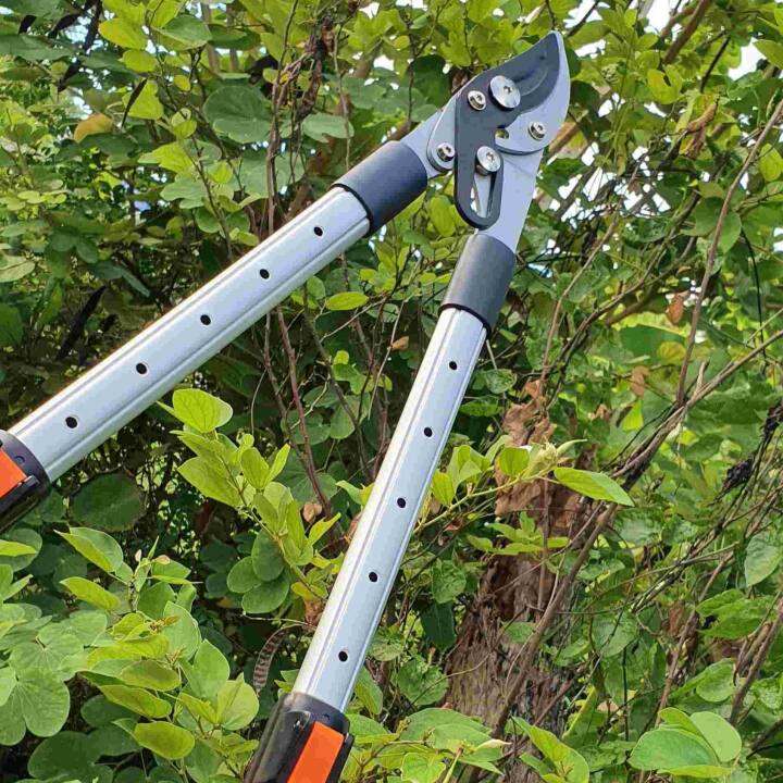 กรรไกรตัดกิ่งไม้ใหญ่ ตัดได้หลายจังหวะ SOLO 3101กรรไกรตัดกิ่งไม้หนาตัด