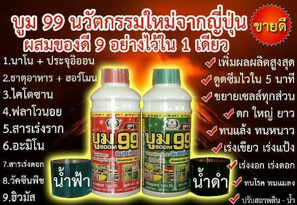 ผักสวนครัว-พืชไร่-พืชผล-ไม่ว่าคุณจากปลูกอะไร-ขอให้บูม99-ช่วยเพิ่มผลิตของท่าน