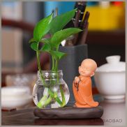 Chậu Trồng Cây Để Bàn Terrarium Cây Thủy Sinh Bình Thủy Tinh Trong Nhà