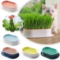 Pet Cat Grass Digestion Growing Tray Starter Dish Greenhouse Hydroponics Plant Cat Grass Germination Nursery Pot Grow Box Wireless Earbuds Accessories