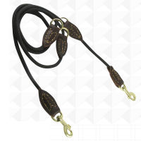 Dog Pull Rope Durable Long Training Leash Beagle Dachshund Running Leads for One or Two Dogs Adjust Length Nylon Chain