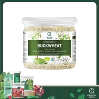 บัควีท ขนาด 200 กรัม-1000 กรัม /  Buckwheat (Superfood)