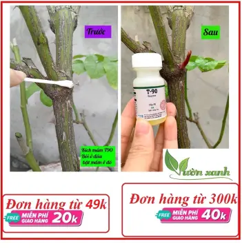 Có những phương pháp tự nhiên nào để thay thế rooting hormone?
