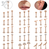 ZS 1ชิ้น Rose G Old สีเสียบในสไตล์ลิป Labret เจาะคริสตัลสแตนเลสลิปสตั๊ด Helix Tragus กระดูกอ่อนเจาะเงาเครื่องประดับร่างกาย