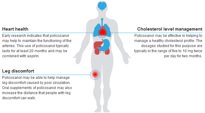 โพลิโคซานอล-policosanol-double-strength-20-mg-90-veg-capsules-now-foods