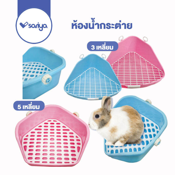 ห้องน้ำกระต่าย-ห้องน้ำแกสบี้-rt24-rt81-ห้องน้ำสัตส์เลี้ยง-rabbit-toilet