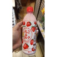 อาหารนำเข้า? Japanese disperse drink Garia flavored strawberry makers HISUPA DK MAROYAKA ICHIGO MILK 500mlStrawberry