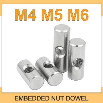 Barrel Bolts M4 M5 M6 Cylindrical Pin 304 Stainless Steel Dowel Cross Hole Hammer Embedded Nut for Wood Furniture Accessories