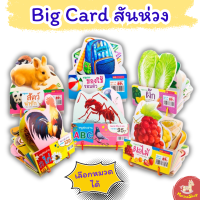 Big card สันห่วง แฟลชการ์ด 6 หมวดภาพเหมือนจริง มีห่วงเก็บง่าย ไดคัทสวยงาม รุ่นนี้ใบใหญ่ พร้อมเกร็ดน่ารู้ Flash Card mis Marina_shop