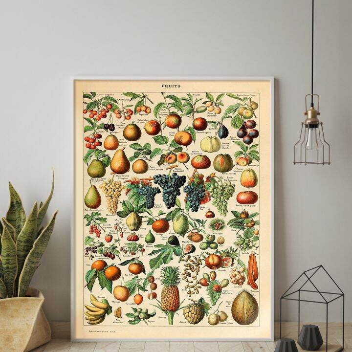 Botanical Educational Poster Fruit Print Vintage Millot French Poster
