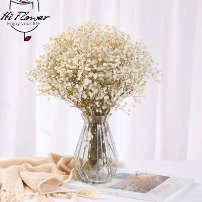 [AYIQ Flower Shop] แห้งลมหายใจทารกดอกไม้เจ้าสาวช่อที่มีสีสันสีขาว Gypsophile ธรรมชาติแห้งการจัดดอกไม้ Gypsophila สำหรับตกแต่งงานแต่งงาน