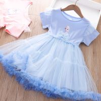 Girls Elsa Dress 2022 Summer Dress New Childrens Frozen Princess Dress Baby Mesh Puff Dresses Girl Short Sleeve Party Clothes  by Hs2023