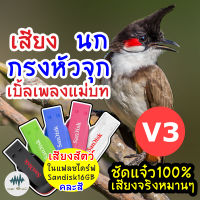 เสียงนกกรงหัวจุกV3 เบิ้ลแม่บท เมม/แฟลชไดร์ฟเสียงฝึกนกกรงหัวจุก มีเก็บเงินปลายทาง เสียงจริง ชัดแจ๋ว 100% ไม่มีโฆษณาแทรก (MP3 เสียงต่อสัตว์)