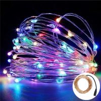 LED Copper Wire Fairy Garland Lamp LED String Lights 5/10/20/30/50 m Christmas Wedding Home Party Decoration Powered By DC12V