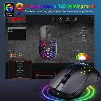 RGB Wired And Wireless Dual Mode Game Mouse USB 6 Button With TYPE-C Programmable Hollow Mice Adjustable Max 10000DPI For Gamers Basic Mice