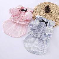 Soft Puppy Dog Clothes Summer Pet Dress for Small Dogs Cats Shih Tzu Sphinx Dresses Shirts Cat T-shirt mascotas Skirt Clothing Dresses