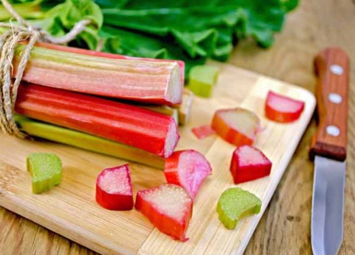 รูบาร์บ-รูบาร์บเบลเยี่ยม-rhubarb-seeds-เมล็ดพันธุ์รูบาร์บแบ่งขาย-5-เมล็ด