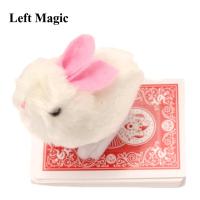 1set New Arrival Rabbit looking for cards prediction close up street magic tricks Easy to do Magicians children magic   E3055 Flash Cards Flash Cards