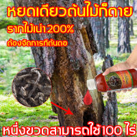 เกษตรกรต้องมี 2023 OUMANDI การ์ลอน200กรัม รากไม้เน่า200% ไม่มีสารตกค้างไม่เป็นอันตรายต่อคนและสัตว์เ ป้องกันกำจัดโรคพืช ไม่ผสมสารเพิ่มน้ำหนัก ฆ่ากอไผ่ตายยันรากได้ผล （สารกำจัดกอไผ่ สารกำจัดตอไม้ ยาฆ่าตอไม้ ยาฆ่ากอไผ่ ยาฆ่าไม้ยืนต้น กำจัดราก ）