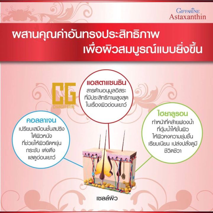 แอสตาแซนธิน-อินเทนซีฟ-ซีรั่ม-กิฟฟารีน-ริ้วรอย-ริ้วรอยใบหน้า-กระชับผิว-กระชับผิวหน้า-giffarine-asta-serthin-intensive-serum