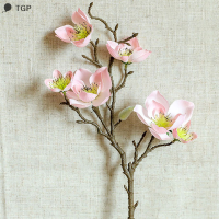 ? TGP Yulan Magnolia floriculture จำลองดอกไม้จริงของ phalopsis