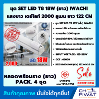 IWACHI หลอดไฟนีออนพร้อมราง LED T8 18 W ชุดหลอดไฟพร้อมราง LED โคมไฟ LED หลอดไฟ LED ฟลูเซ็ท LED โคมไฟสำเร็จรูป T8 18 W (ขาบิดล็อก) แสงสีขาว (DAYLIGHT) (แพ็ค 4 ชุด)