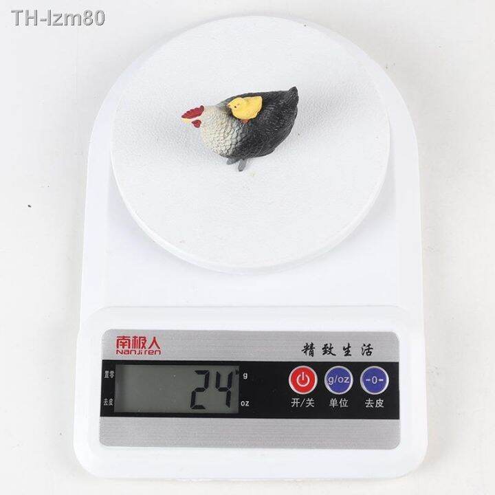 ของขวัญ-childrens-educational-toys-simulation-animal-solid-model-of-poultry-rooster-hen-chicks-geese-and-ducks-hatch-furnishing-articles-back