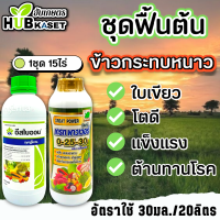 ชุดฟื้นต้น อีสไบออน+เกรทพาวเวอร์ 1ลิตร*2ขวด (อะมิโนแอซิด+0-25-30) ฟื้นต้น โตดี ใบเขียว แข็งแรง ต้านทานโรค