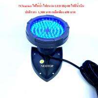 !!Clearnce!!ไฟใต้น้ำ ไฟสนาม LED HQ-80 ไฟสีน้ำเงิน 220V neotop