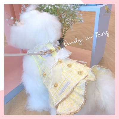 Glitter Pooch Harness ชุดรัดอก สายจูง เสื้อผ้า สุนัข, หมา, แมว, สัตว์เลี้ยง พร้อม สายจูง รุ่น New Emily in Paris Yellow